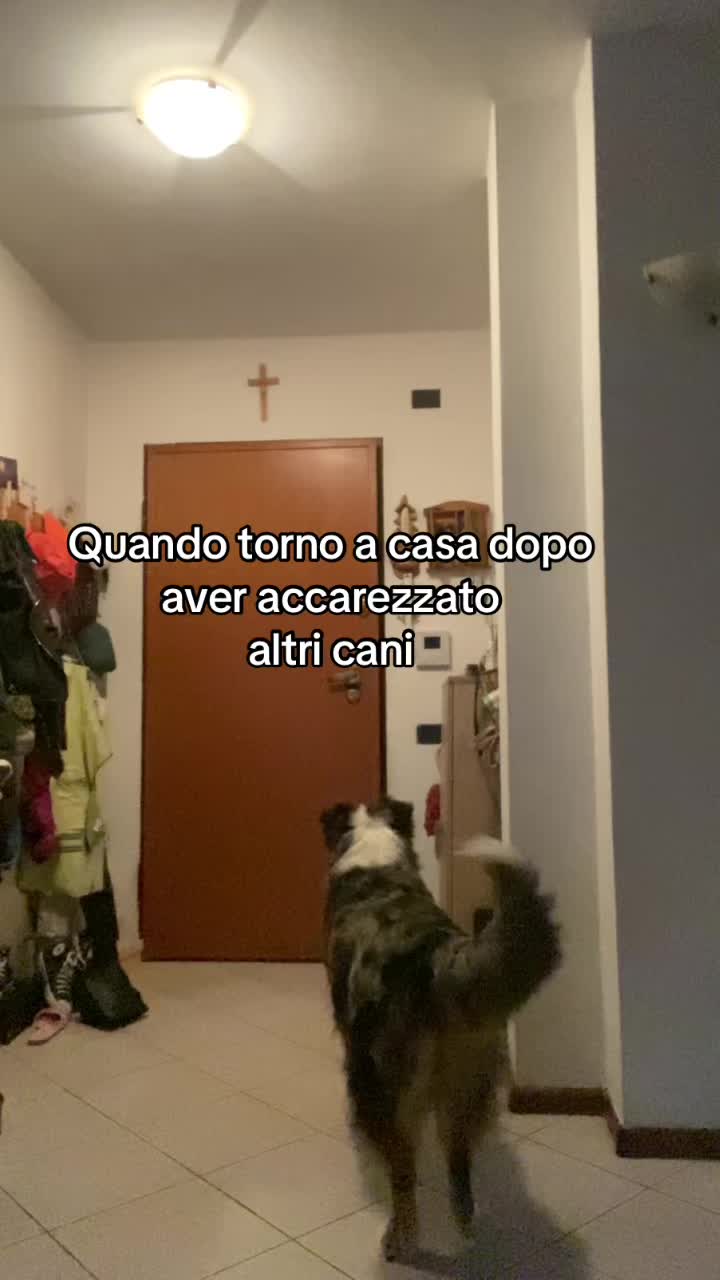@elenaelaika