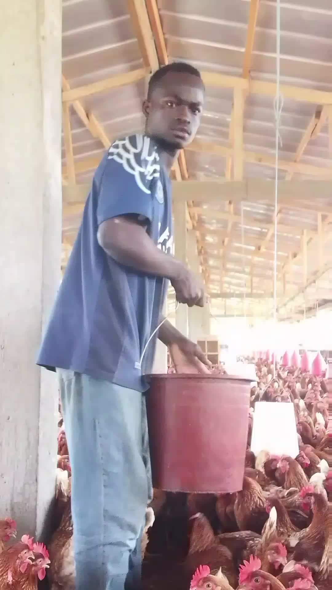 @💓 DIEUDONNÉ KOUASSI💓