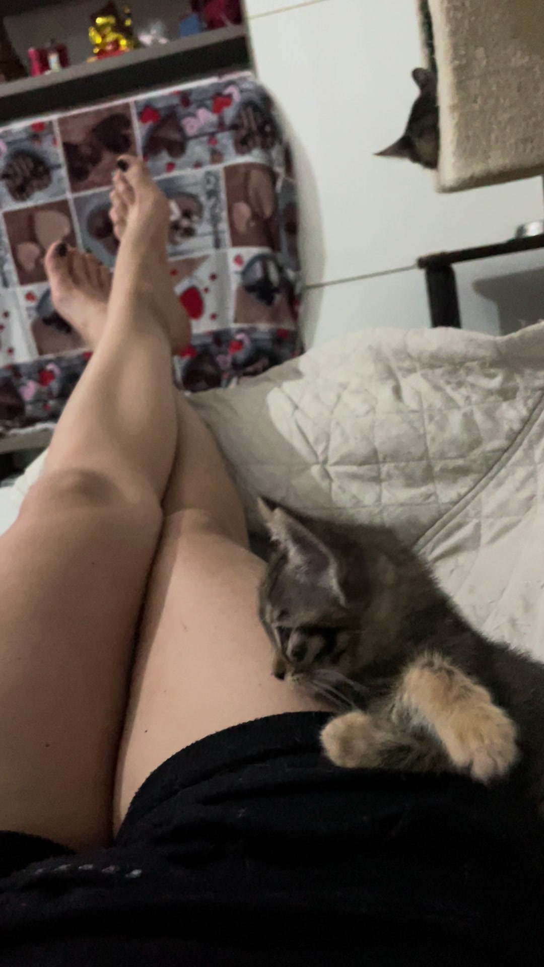 @lalecci_