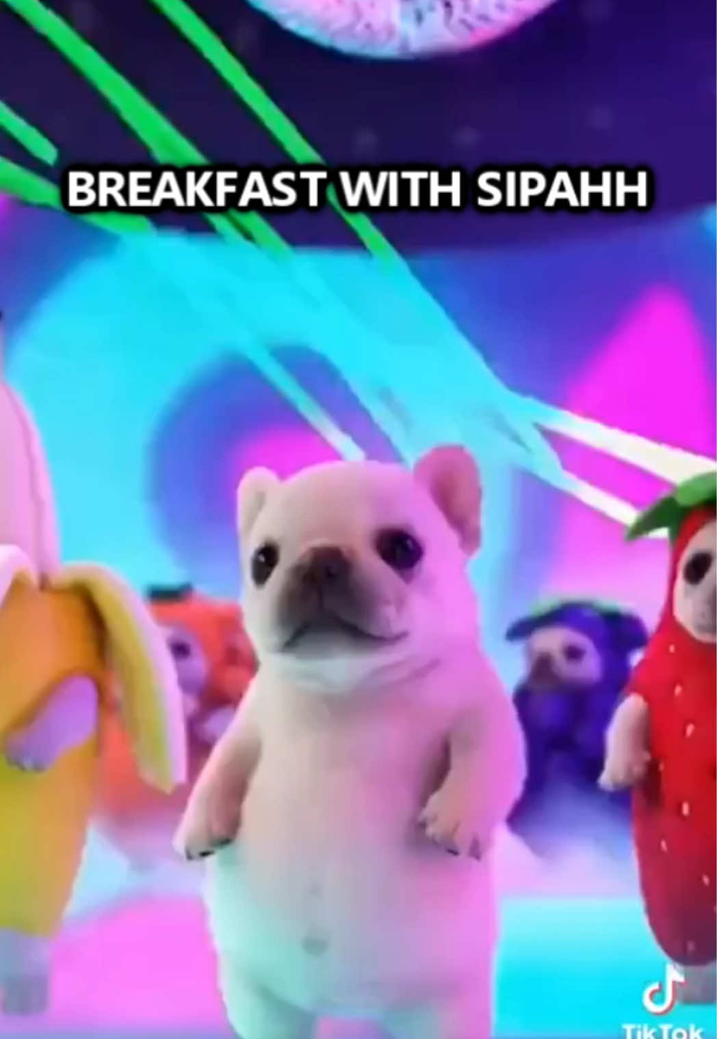 @sipahhamerica