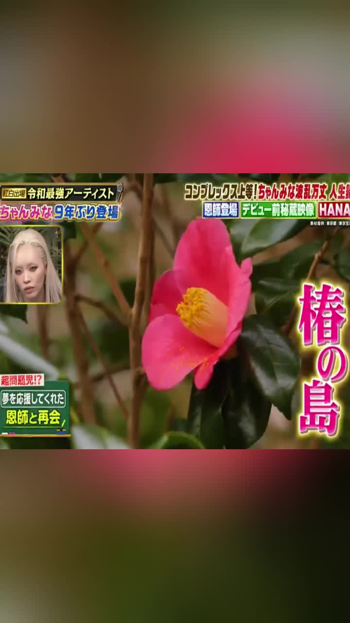 @ブルドッグぶるまるチャンネル Fan