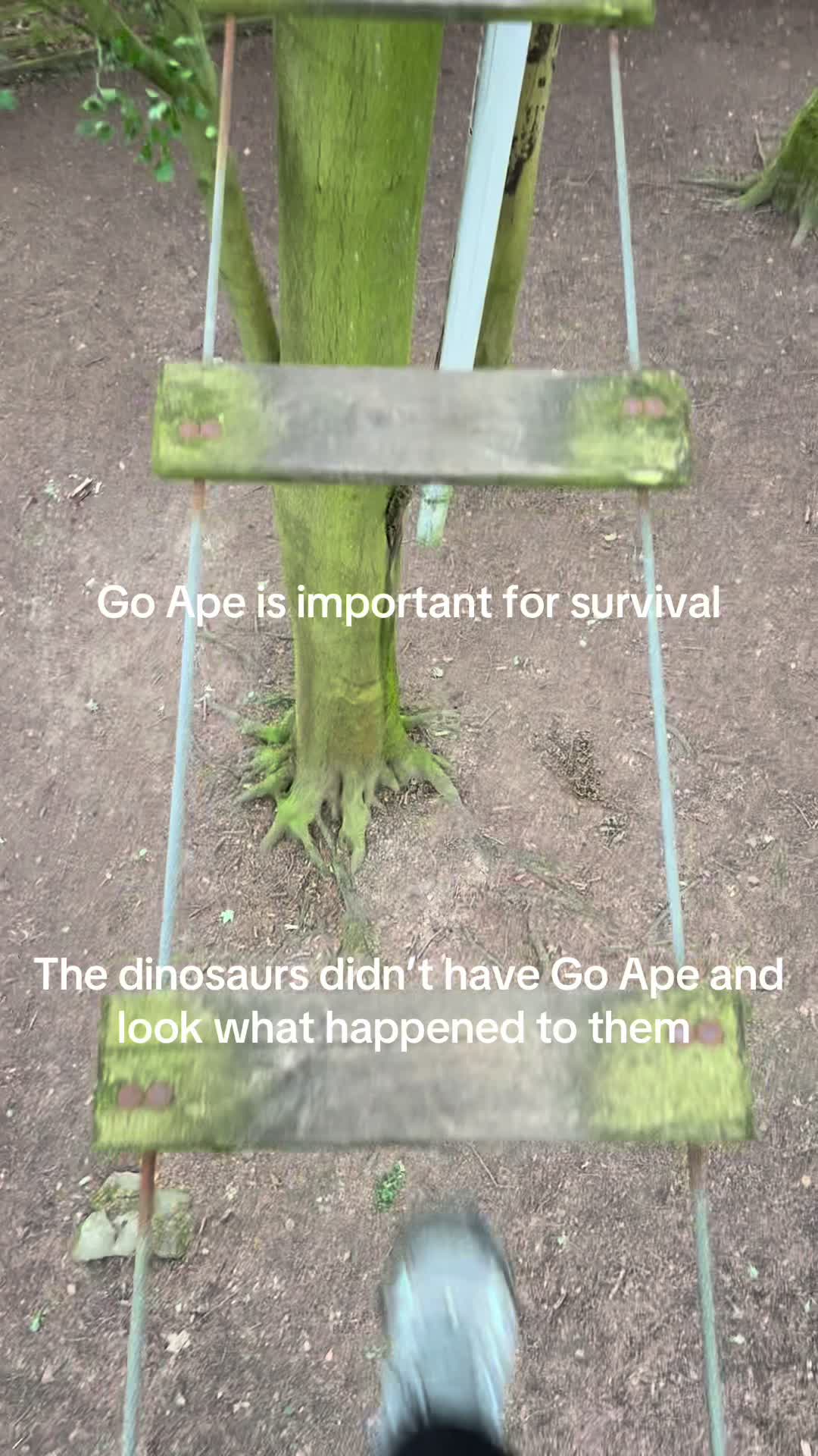 @Go Ape Rivington