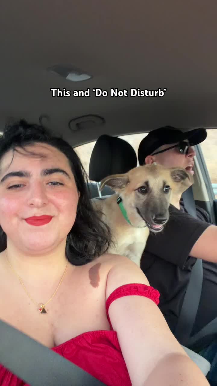 @Fenrir
