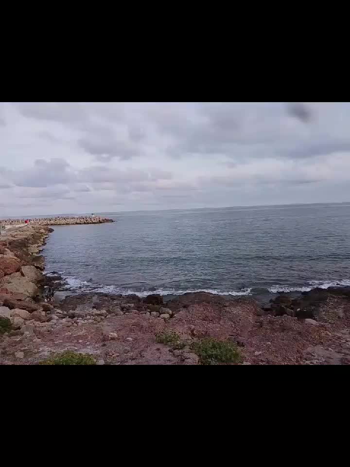 @ana arnau