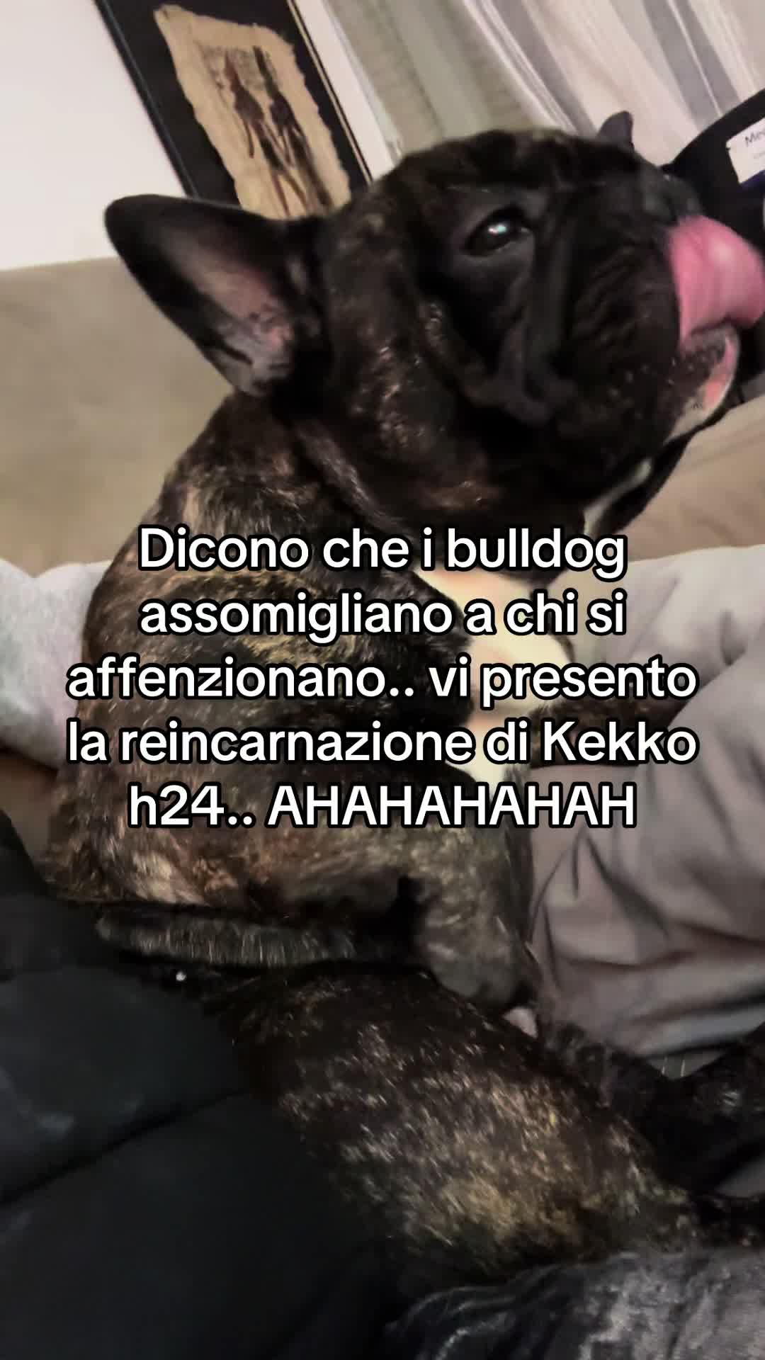 @DittiKekko