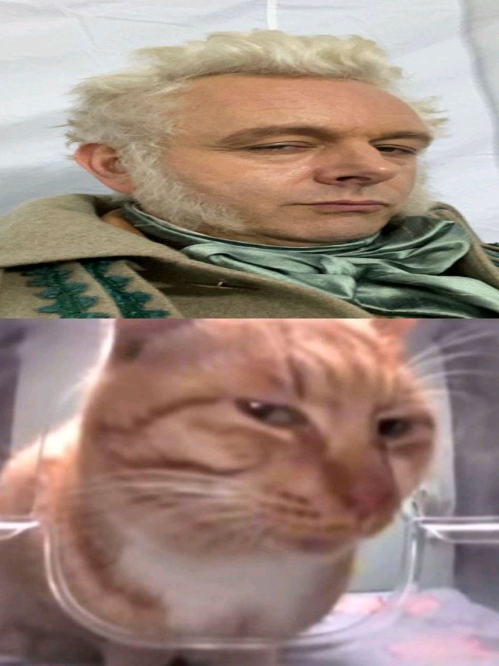 @𝔙𝔦𝔳𝔷 ✩