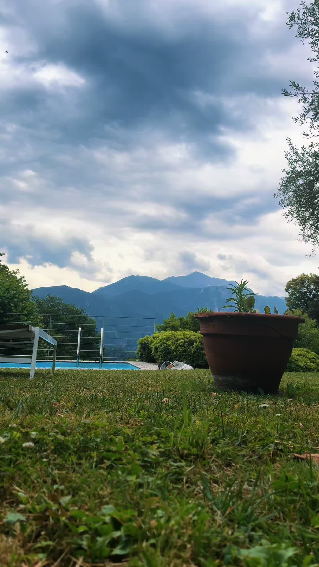 @_the_naomi_