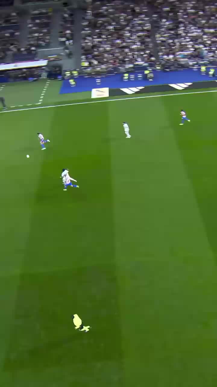 @REAL MADRID ✅🥰