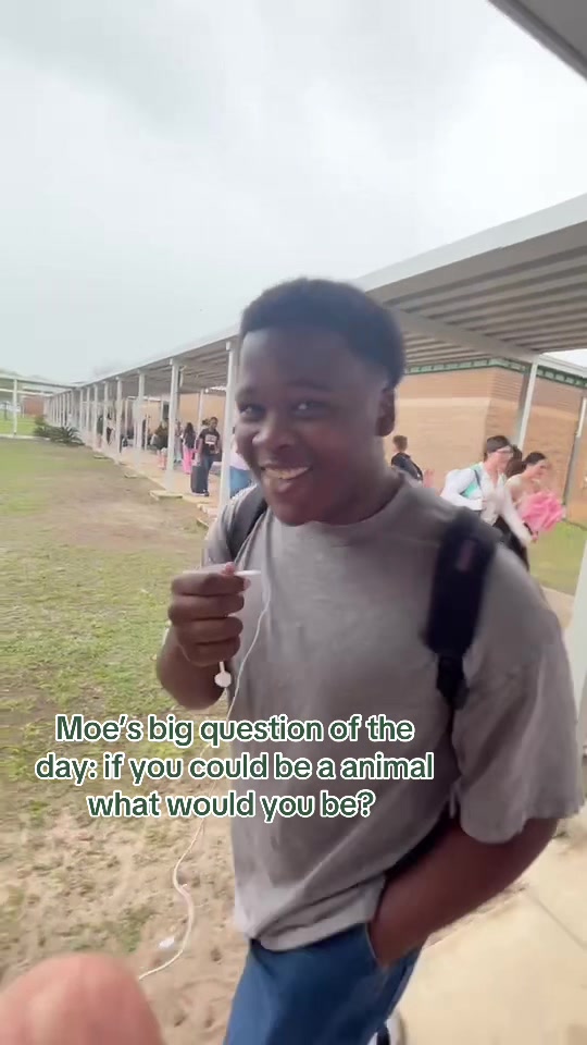 @moe vlogs