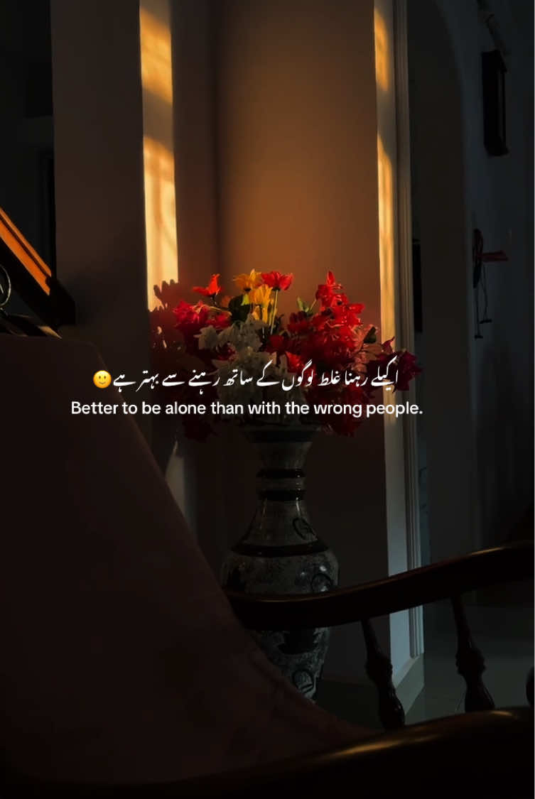 @🍁 ɴᴏᴏʀ ᴠɪʙᴇꜱ 🍁