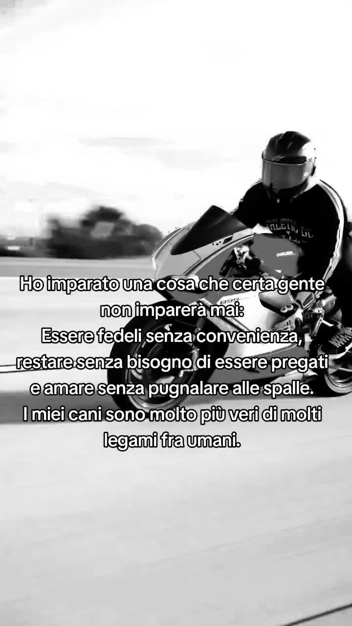 @🖤🖤TheLoyalOne🖤🖤