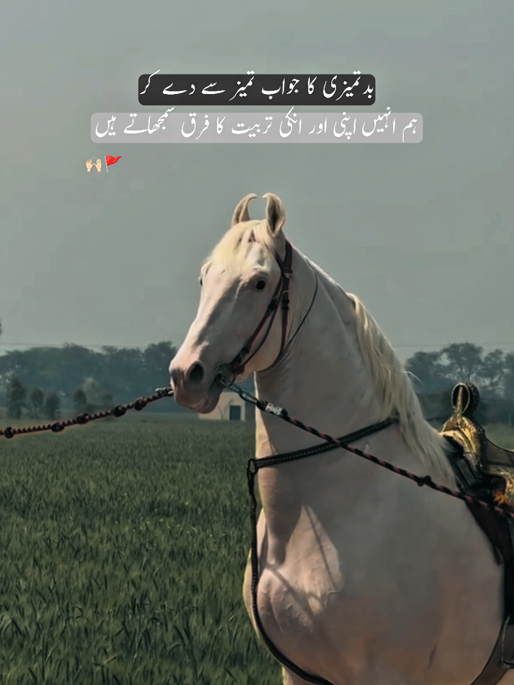 @𓆩𝐅𝐱𝐢𝐳𝐢𓆪