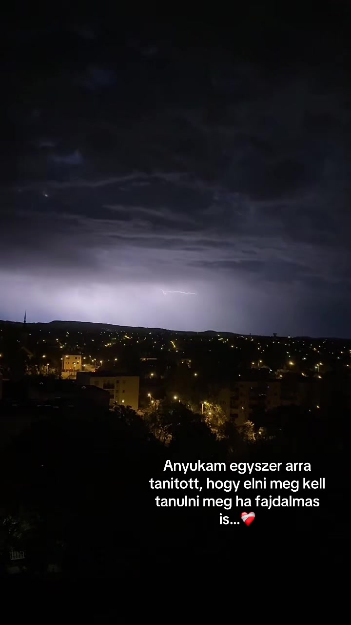 @bogica147