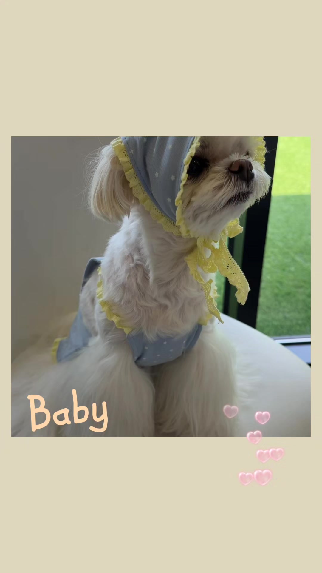 @벼리♡♡♡