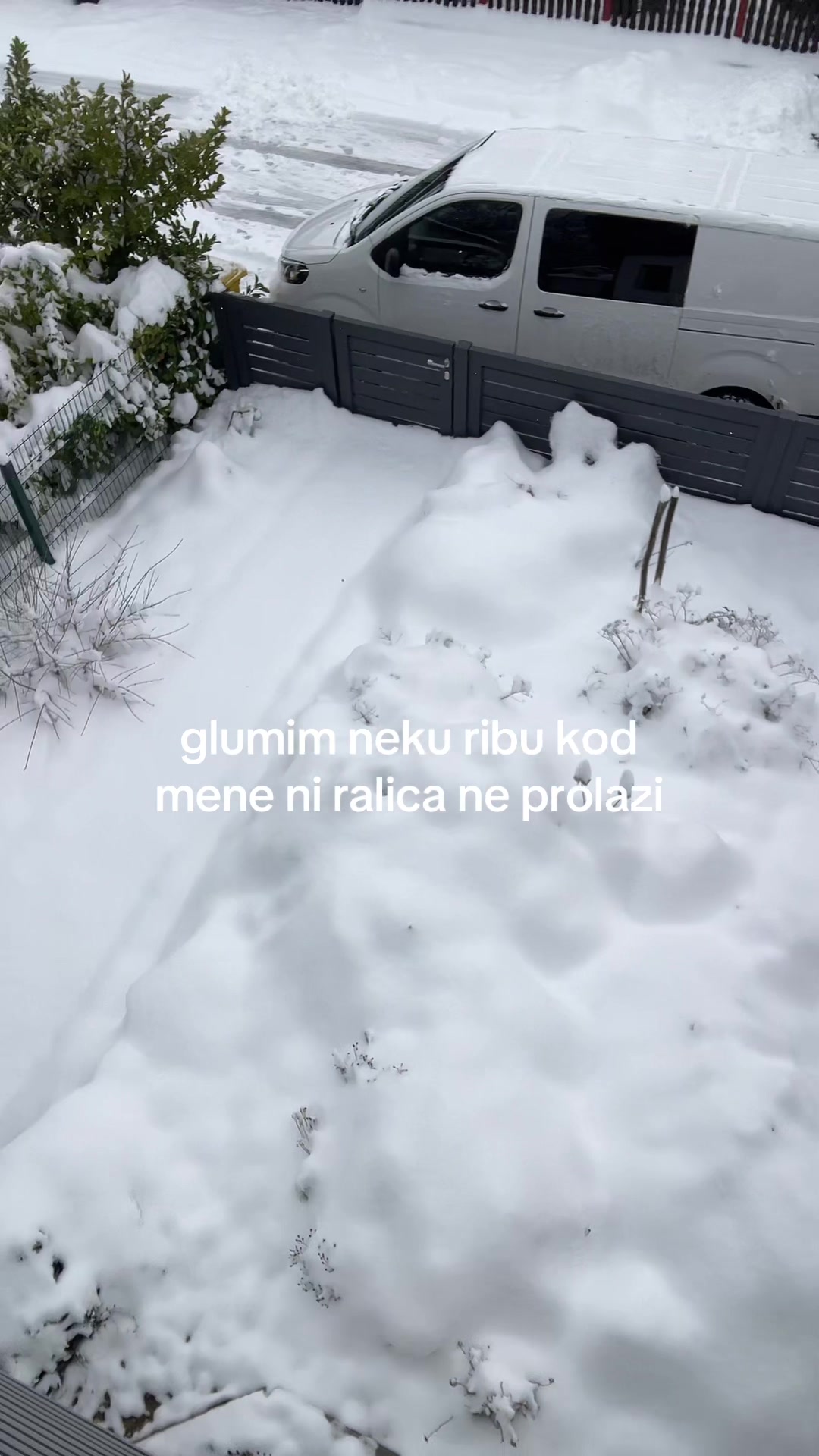 @maki