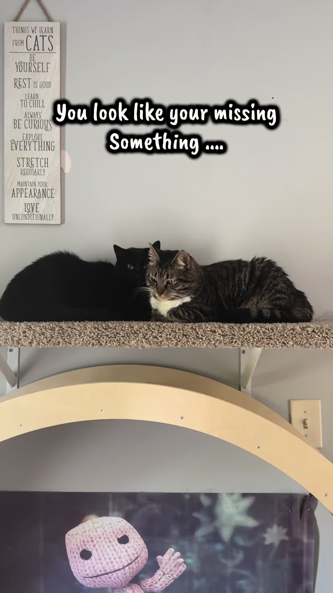 @TailsandWhiskersCo
