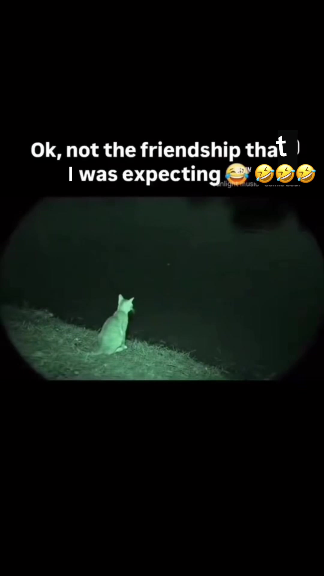 @@Treasureforme (DogMom)