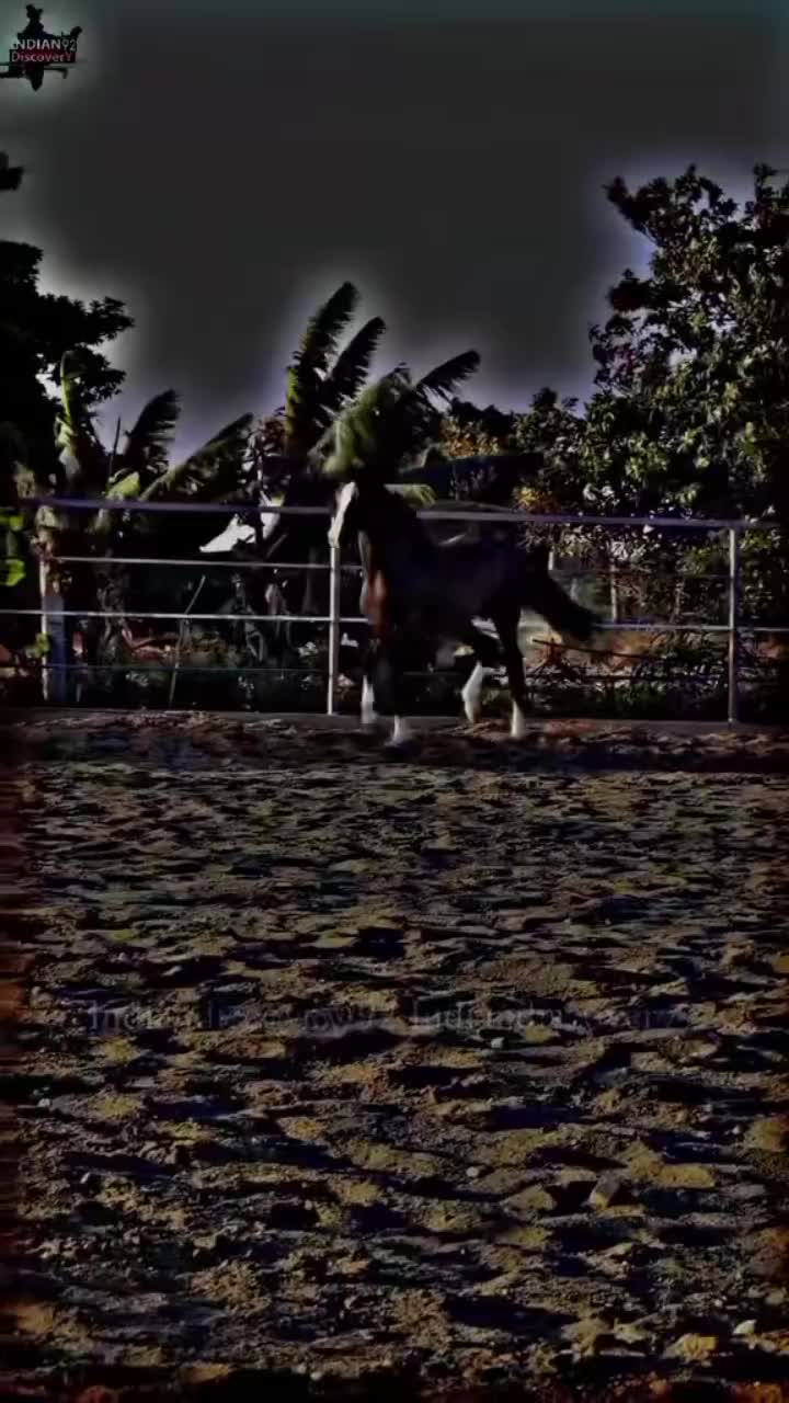 @⫸𝙈𝙞𝙍𝙯𝘼✫𝙎𝙖𝙍𝙆𝙖𝙍✫⫷