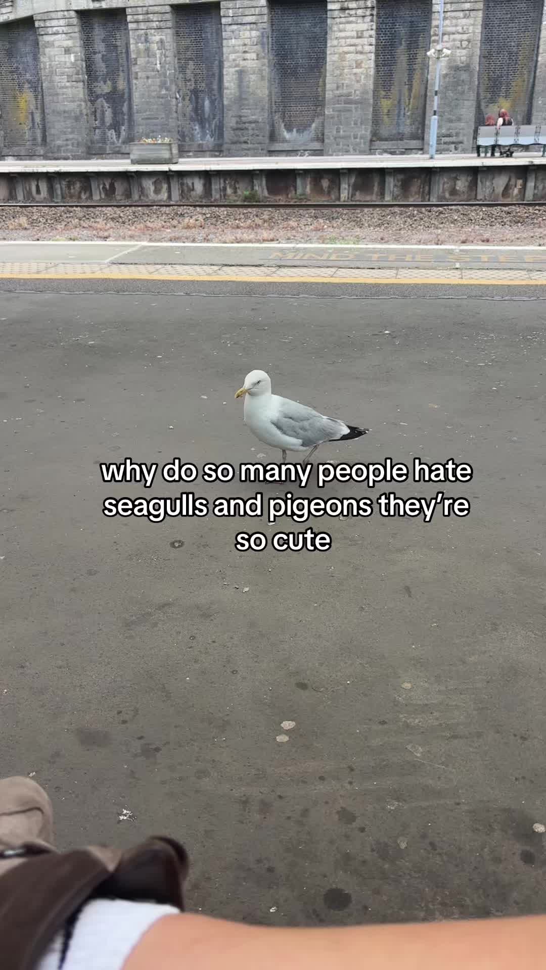 @mads ☆