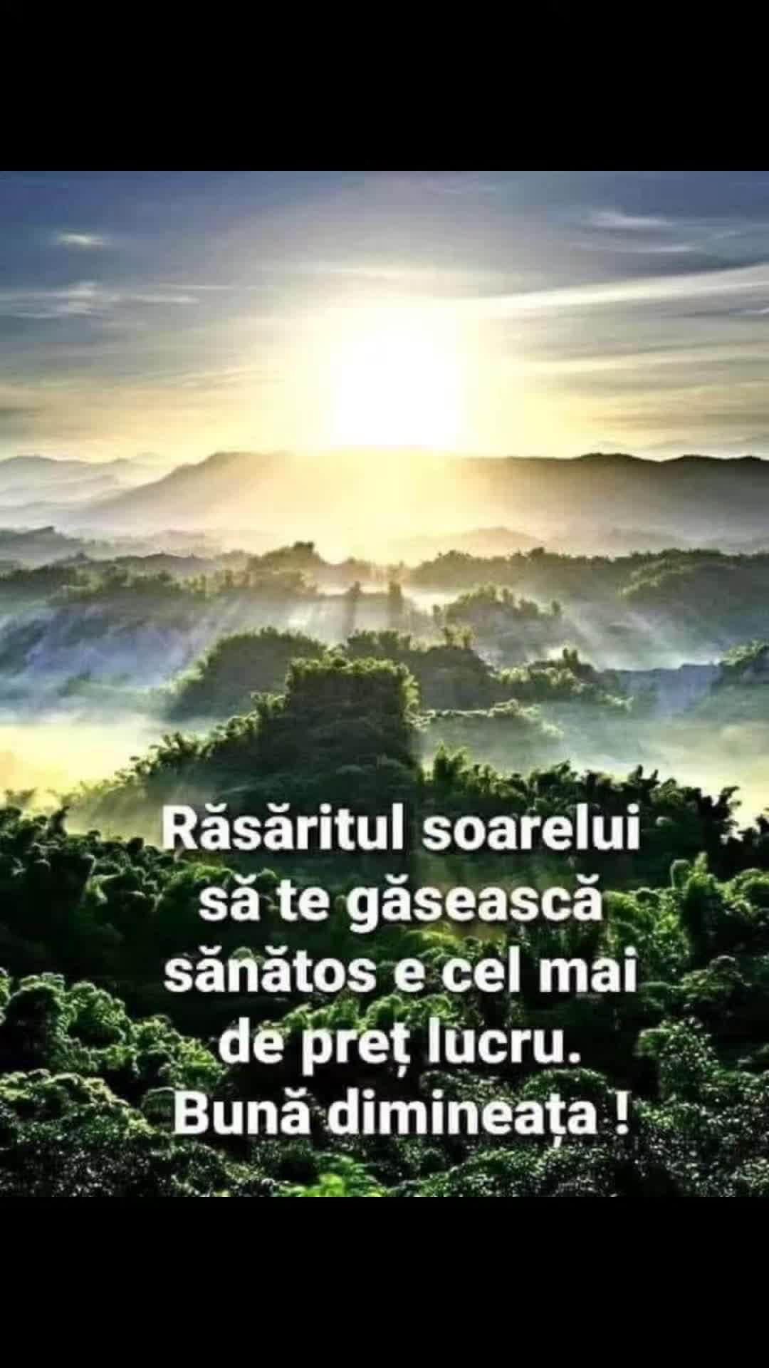 @Elena