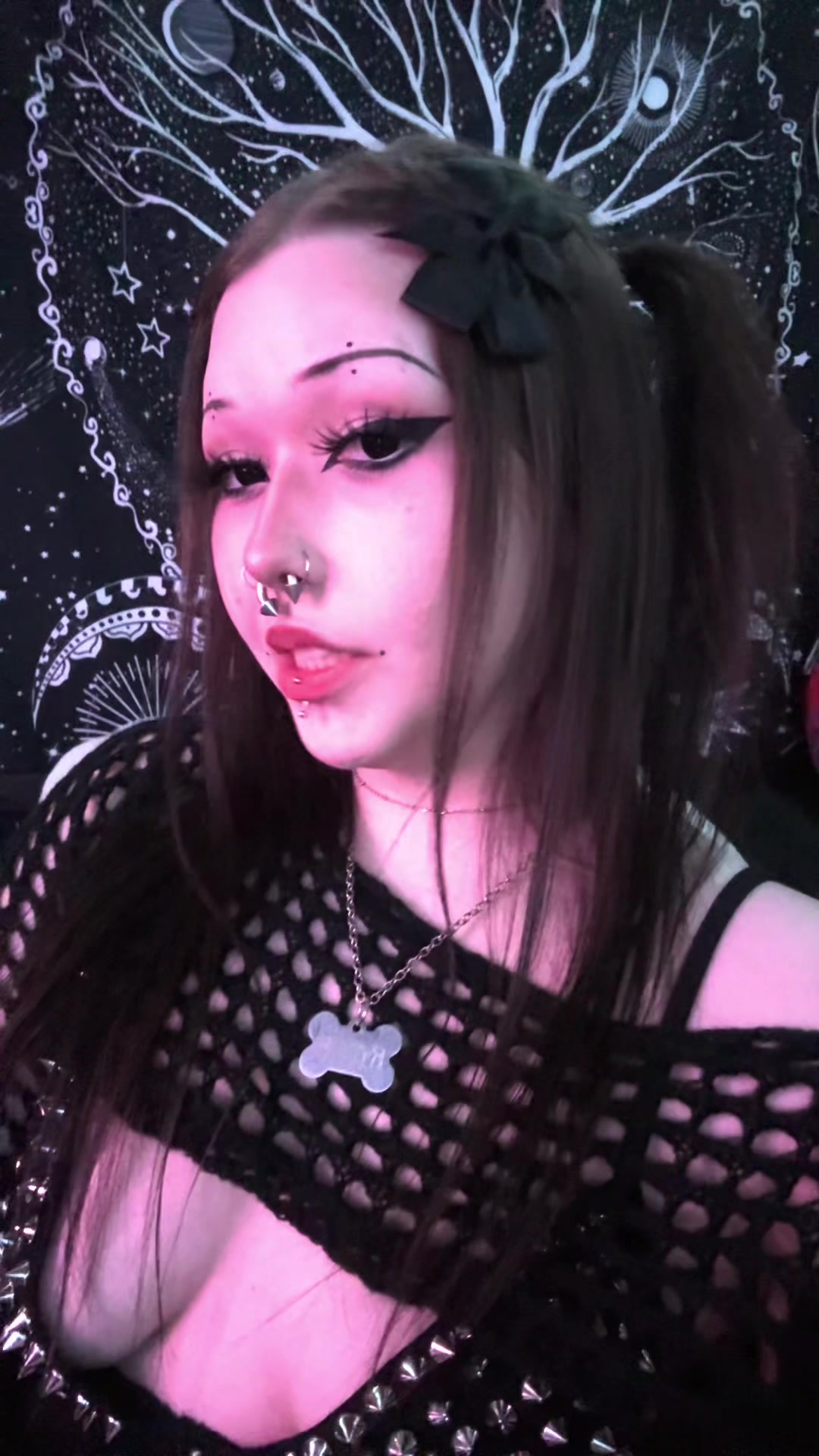 @kat¡e ⋆🐾🦴˚