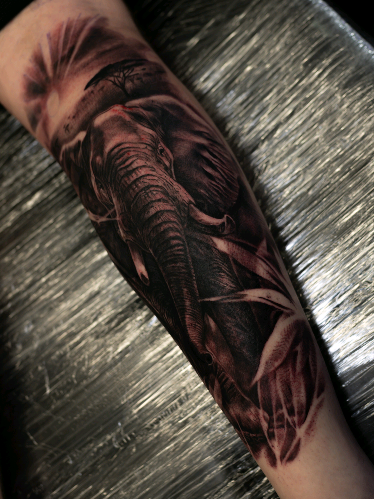 @stucoombstattoo