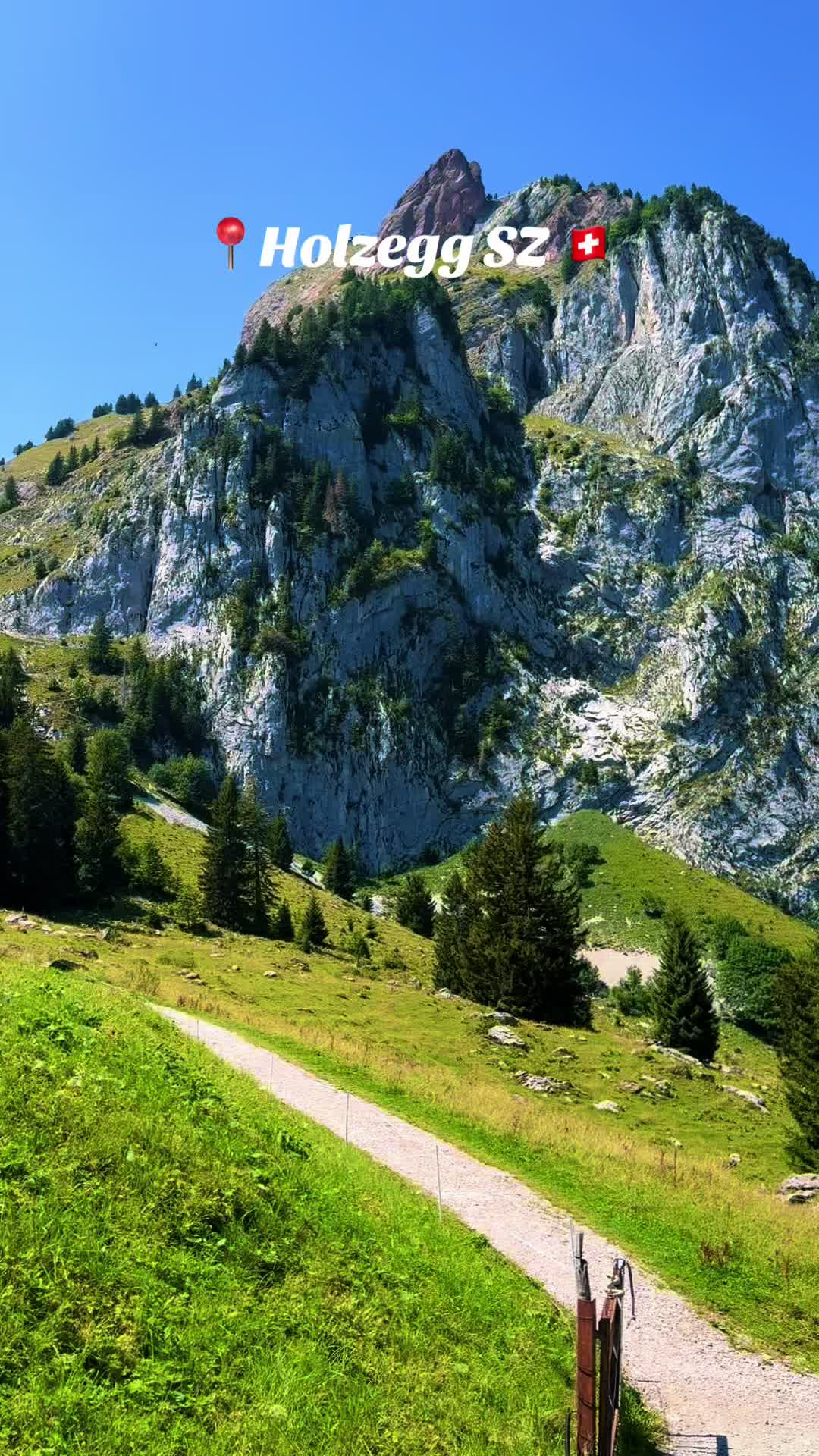 @swiss_alps