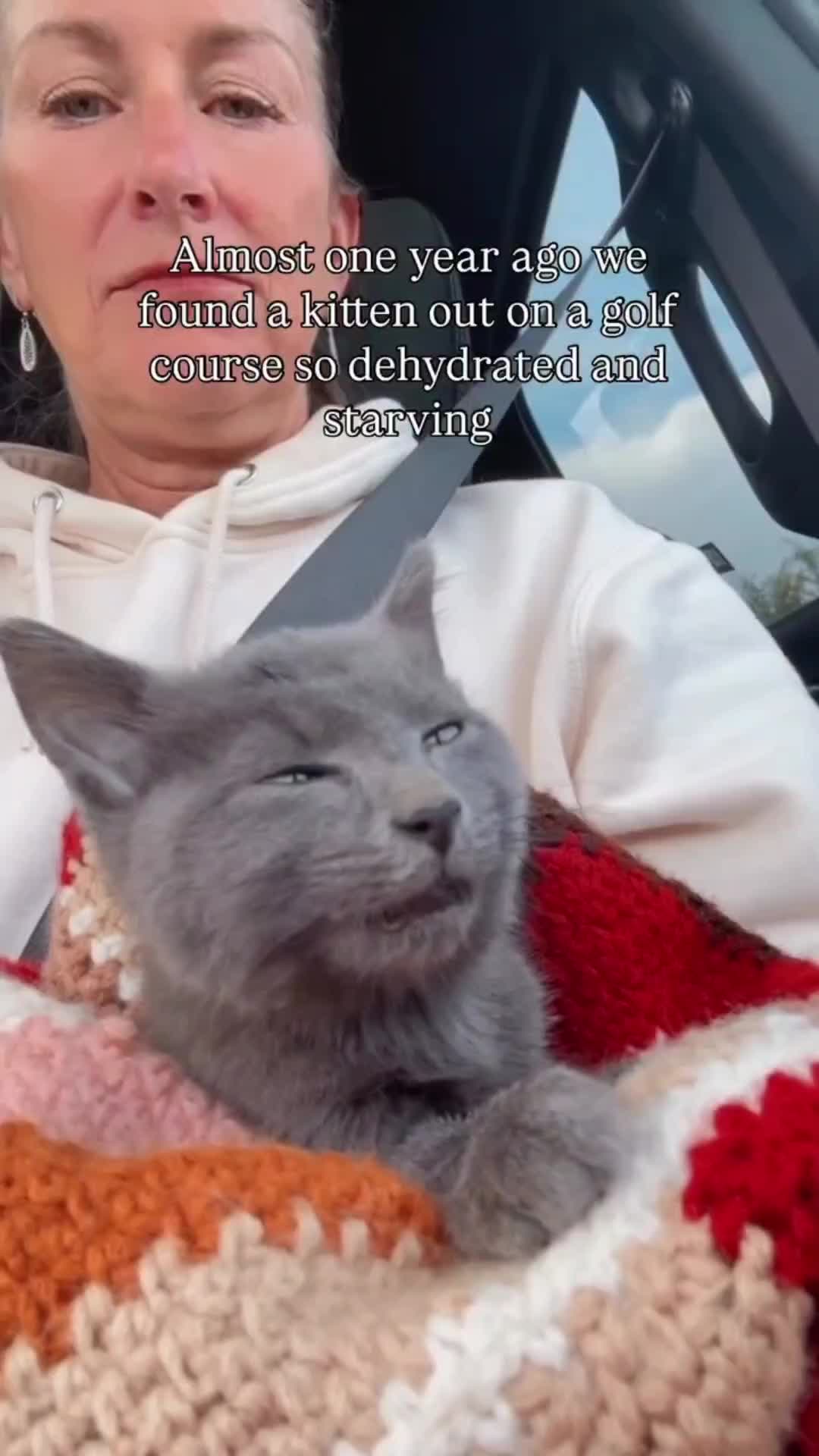 @Pets Mania
