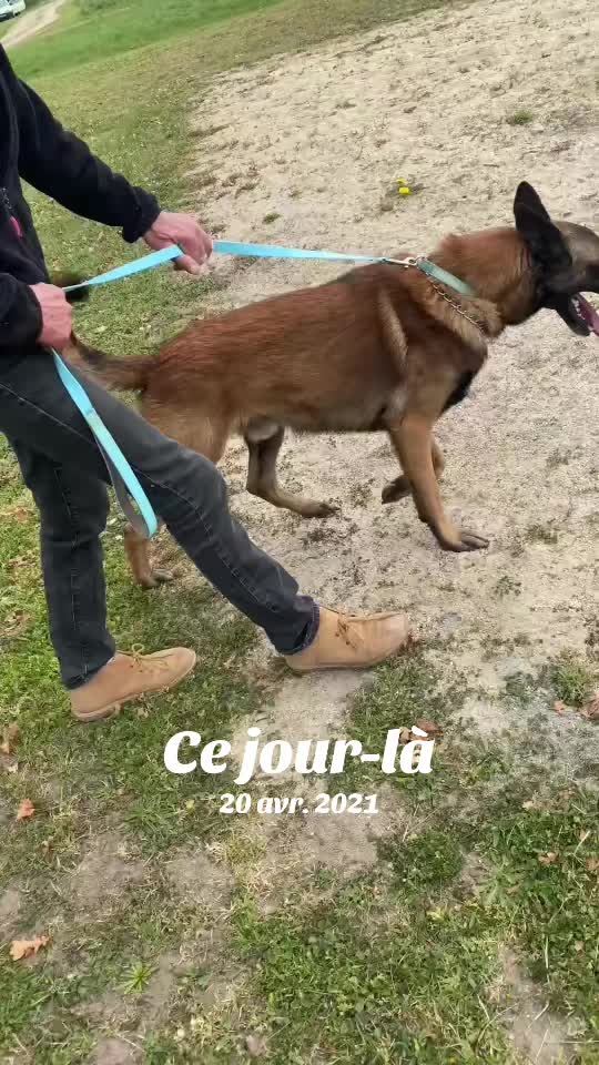 @Elisecyno