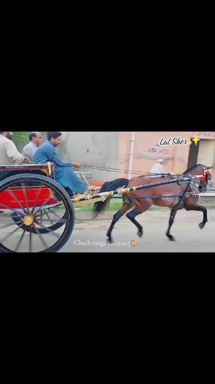 @Chach tanga racer007🐎