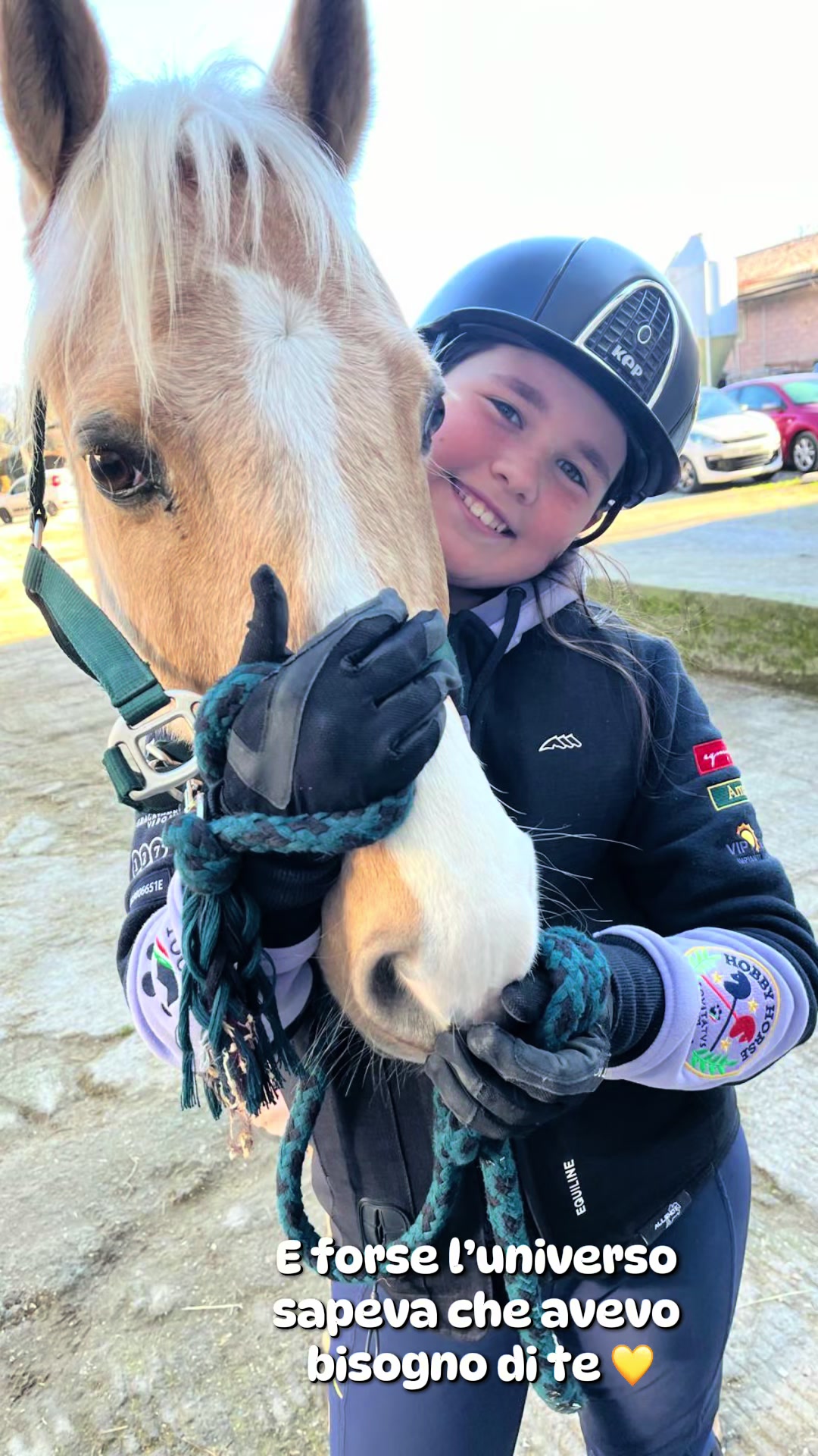 @м&iota;&alpha; 🐴💛