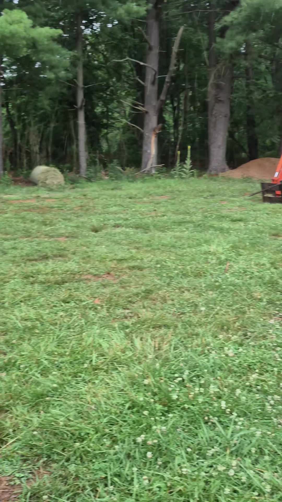 @🦆🌾𝓓𝓪𝓶𝓸𝓷🌾🦆