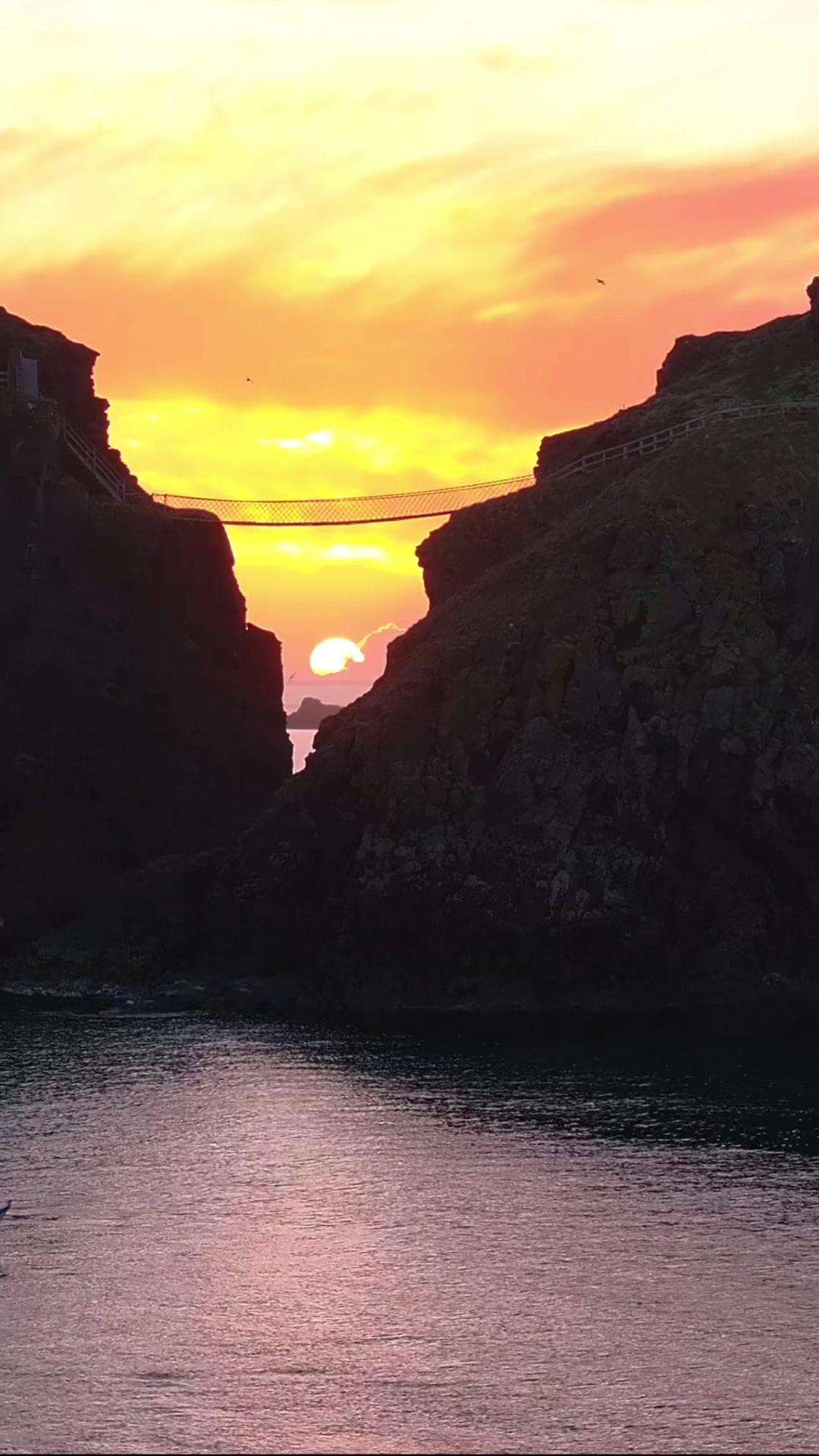 @Ballintoy Boat Tours