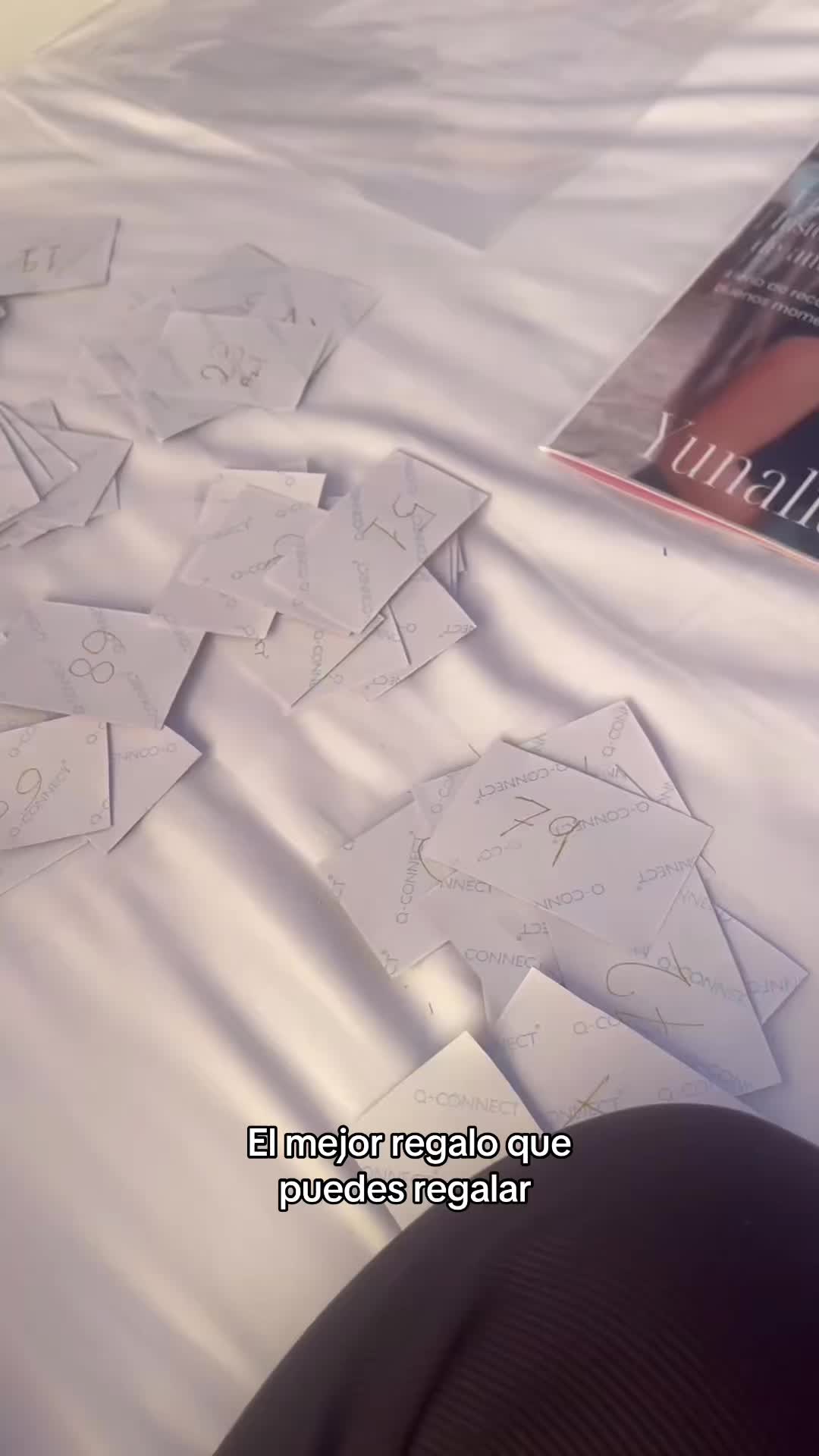 @nosoyyo😽