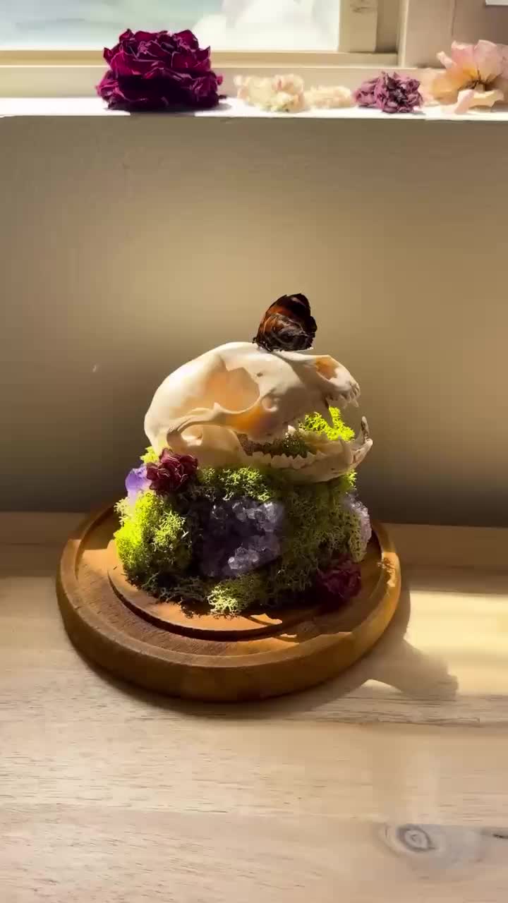 @thegreenmanstore