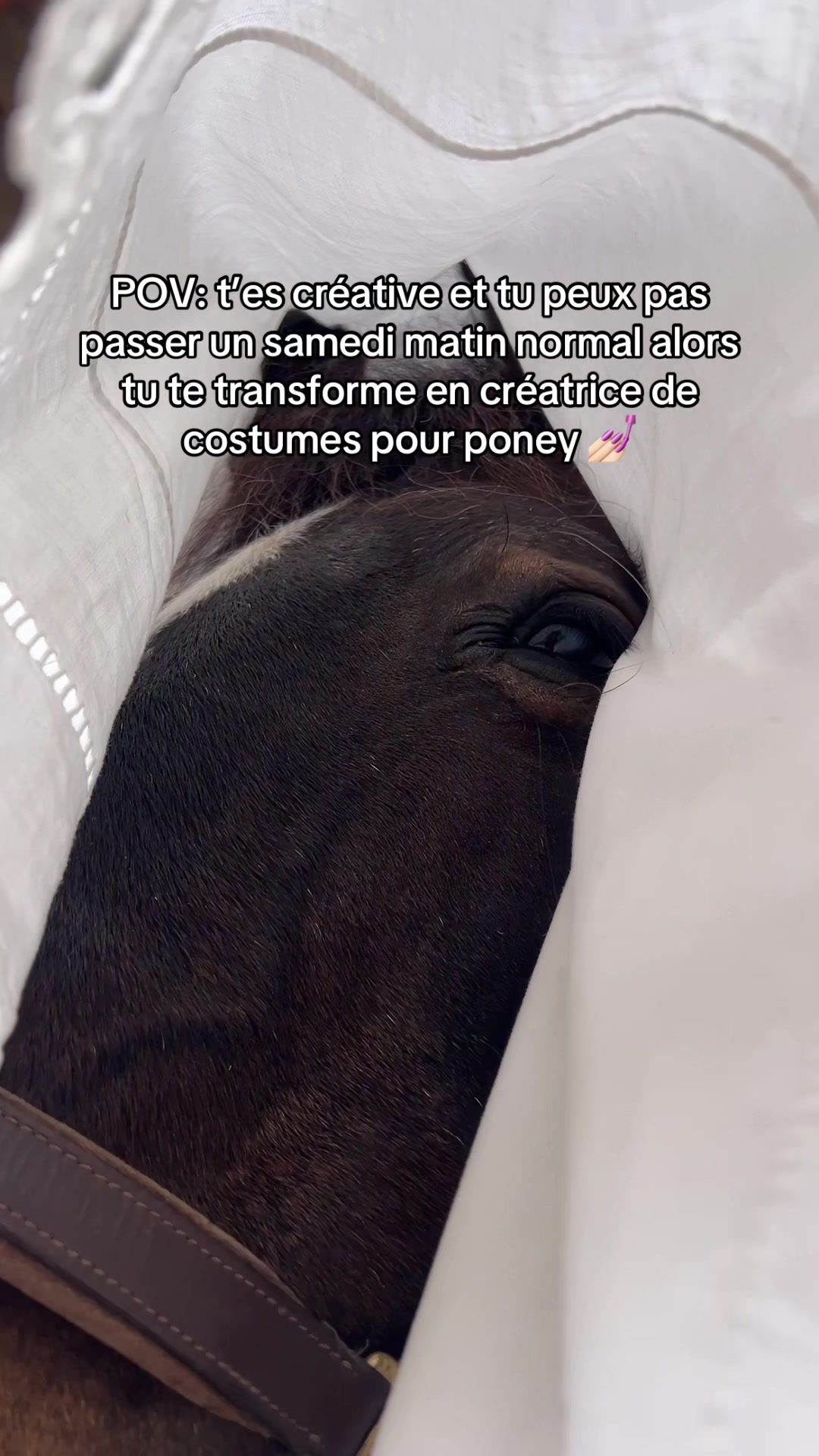 @Seren the pony 🐴