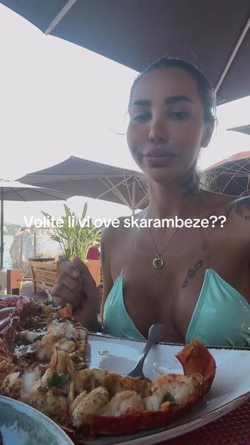 @aneli ahmic novi