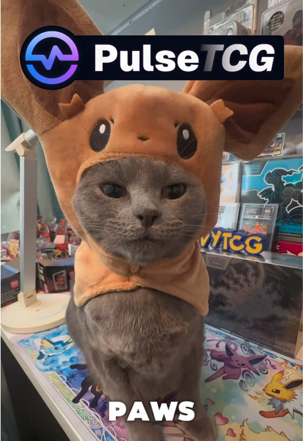 @SnivyTCG