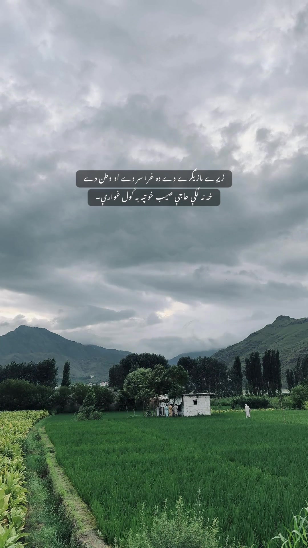 @𝐁𝐚𝐚𝐚⚡️