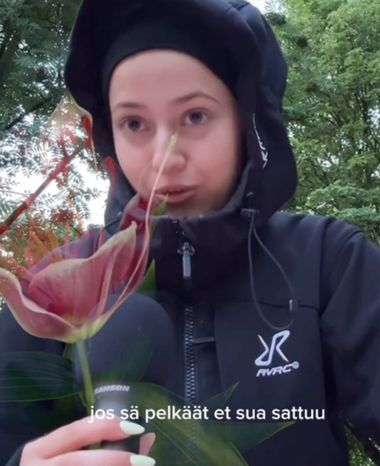 @belladrechsler