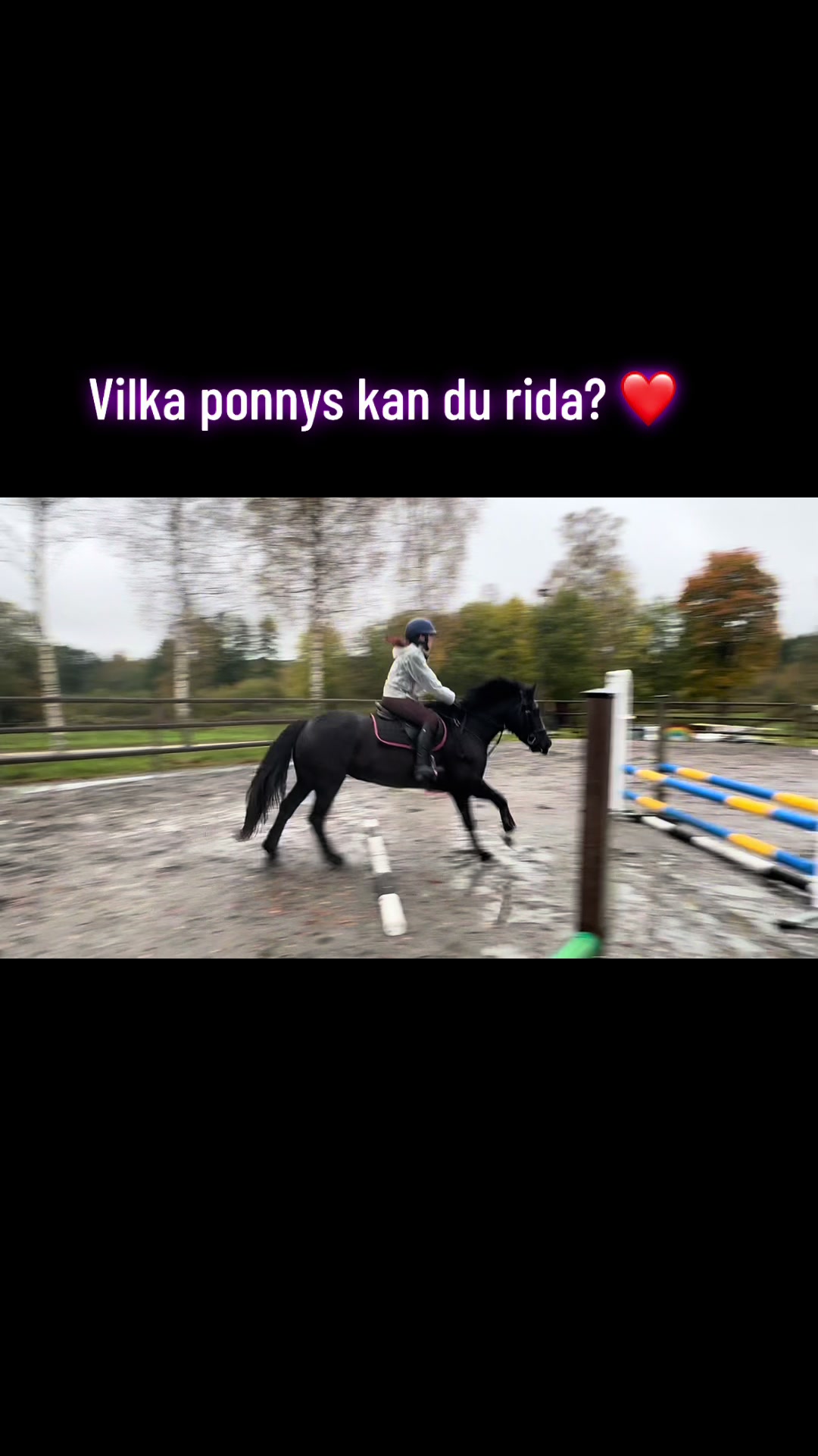 @🇸🇪🦄𝓔𝓵𝓲𝓷 𝓔𝓭𝓺𝓿𝓲𝓼𝓽