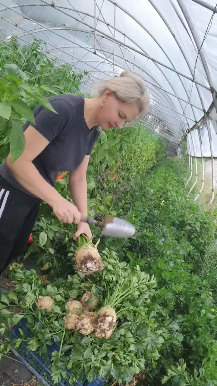 @FERMA VESELA