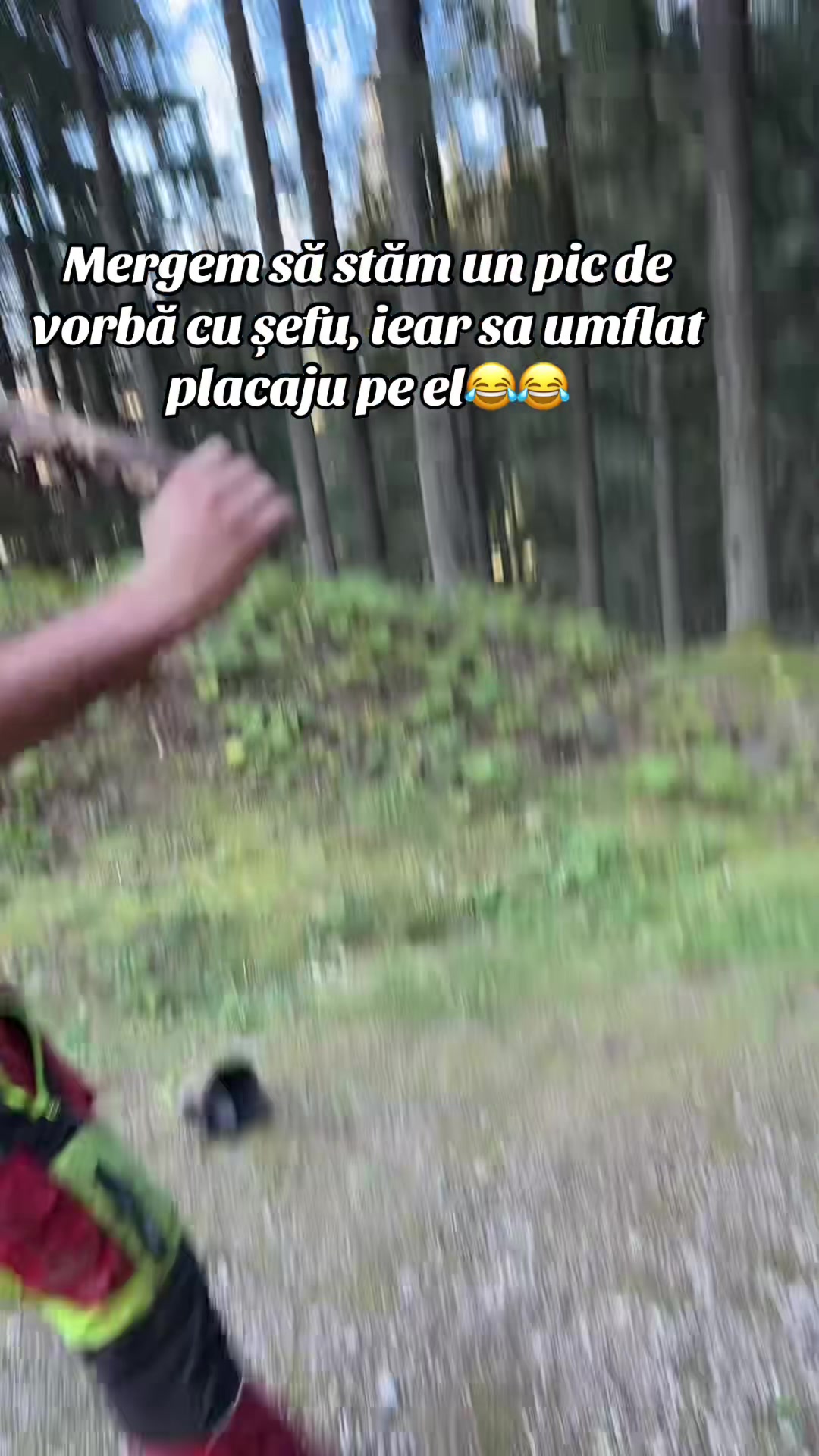 @Nicu Văsieș