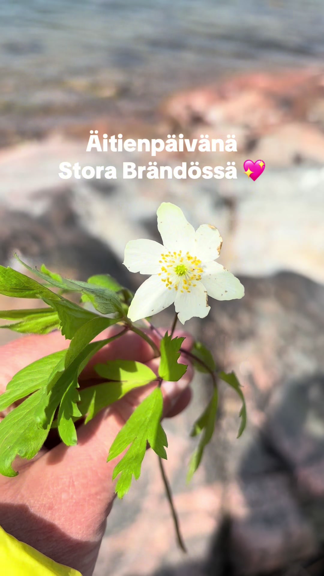 @Satu Laakso