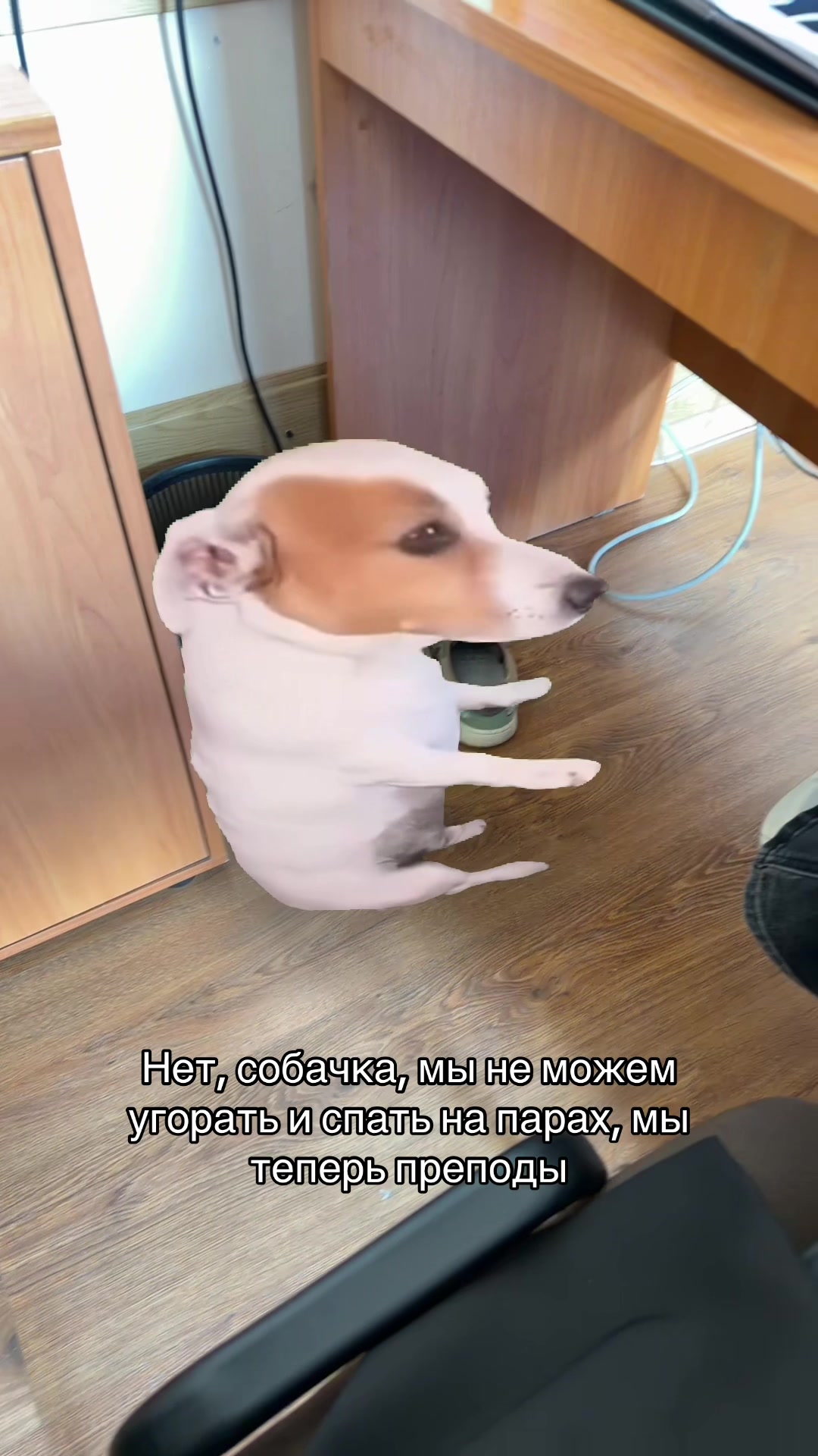 @Бдюлька@