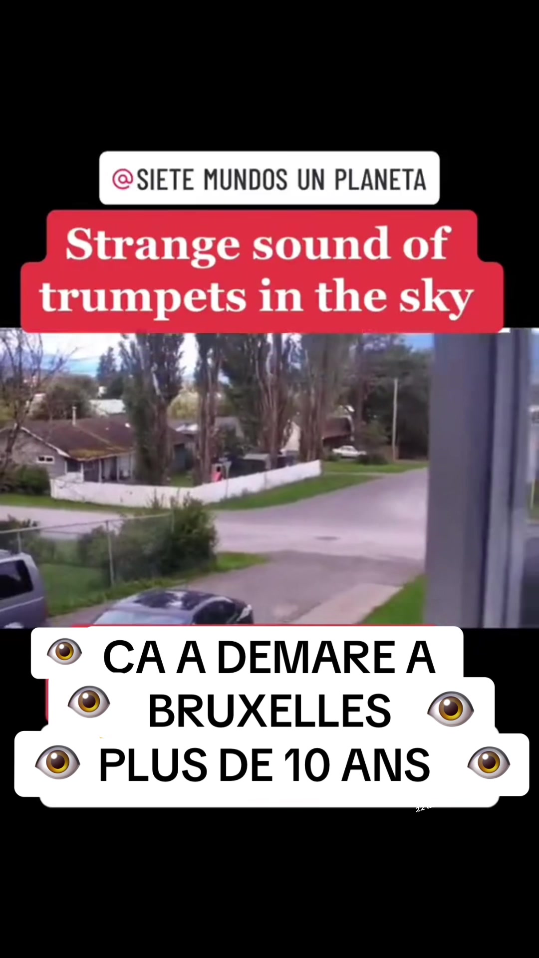 @reptilianpupil10