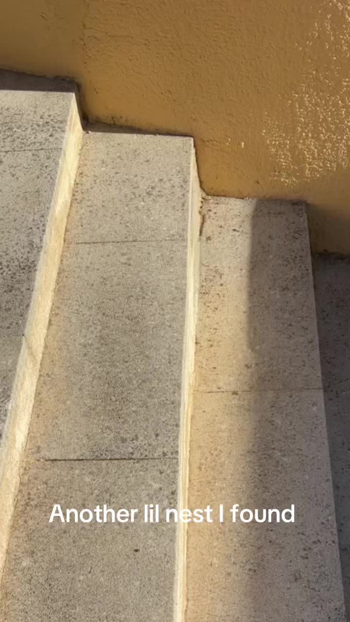 @happygoluckysasa