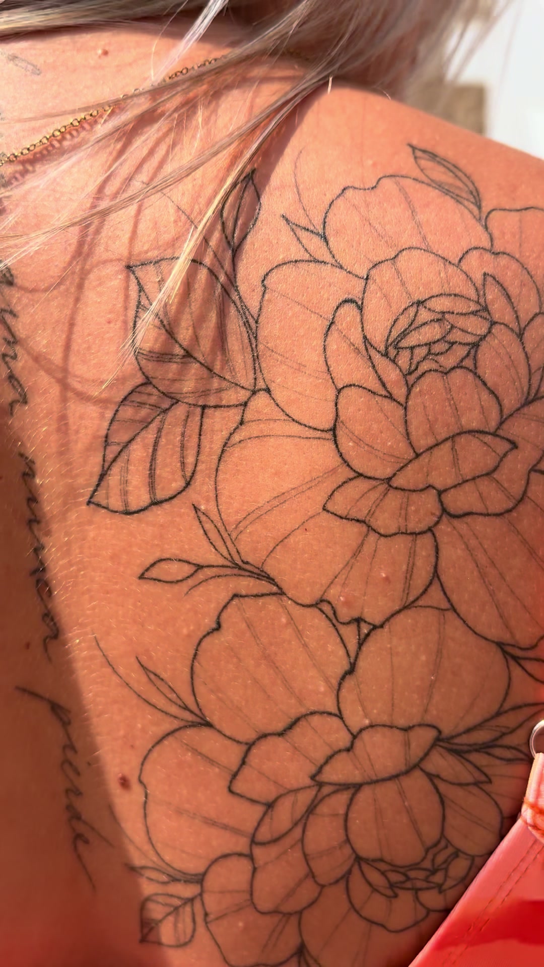 @Ą🌸