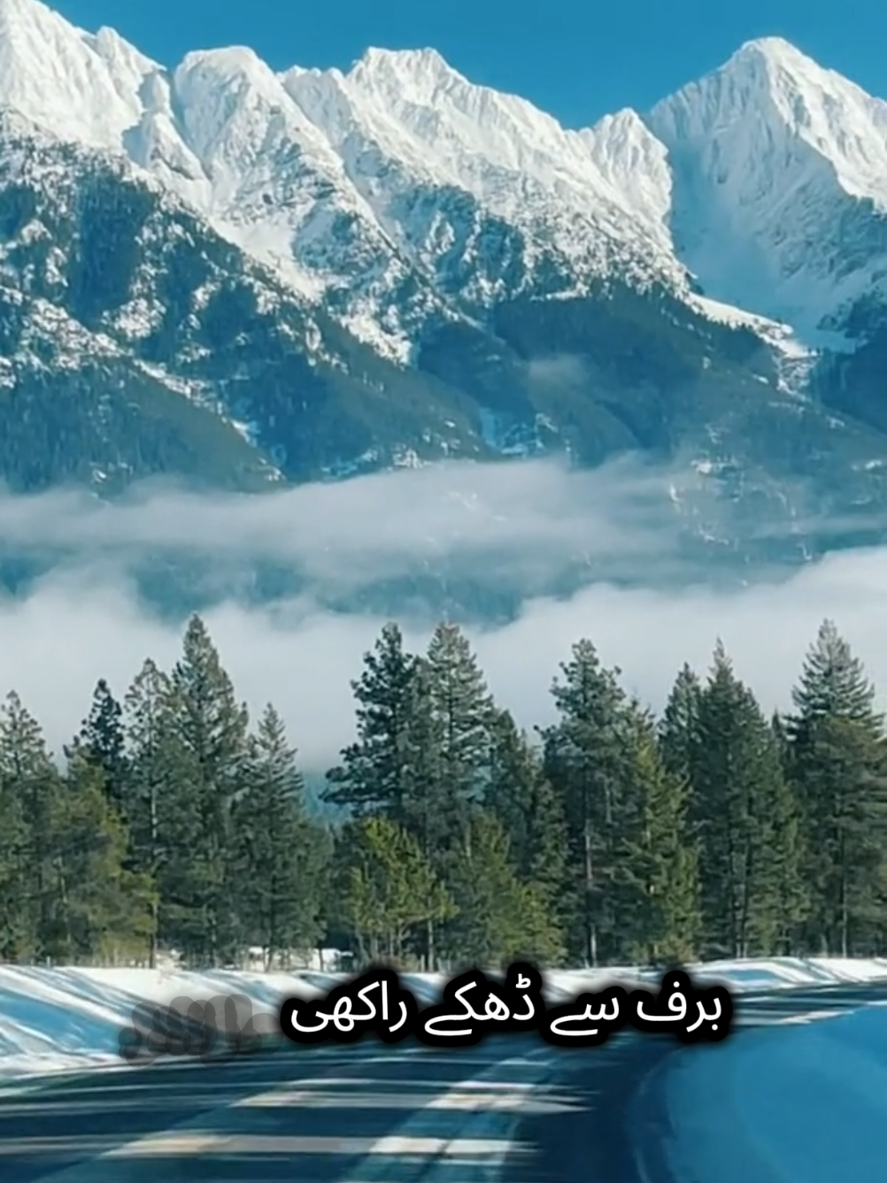 @Sher khan🇨🇦🥀