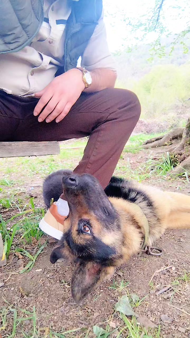 @Kedi_BULUT